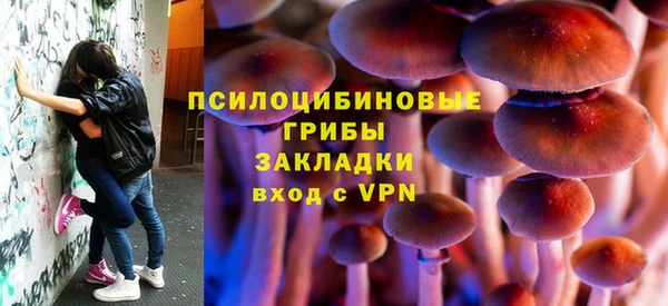 прущие крисы Белокуриха