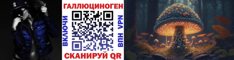 мориарти состав  Волчанск  Псилоцибиновые грибы Cubensis  KRAKEN  